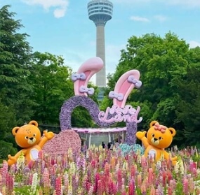 대구 꽃축제