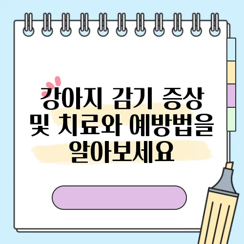 강아지 감기 증상 및 치료와 예방법을 알아보세요