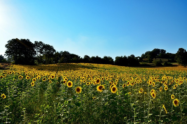전원주택 계약 전 필수 점검