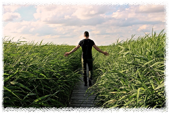 불안해소-산책-자연속걷기-남자