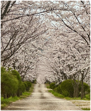 아담원