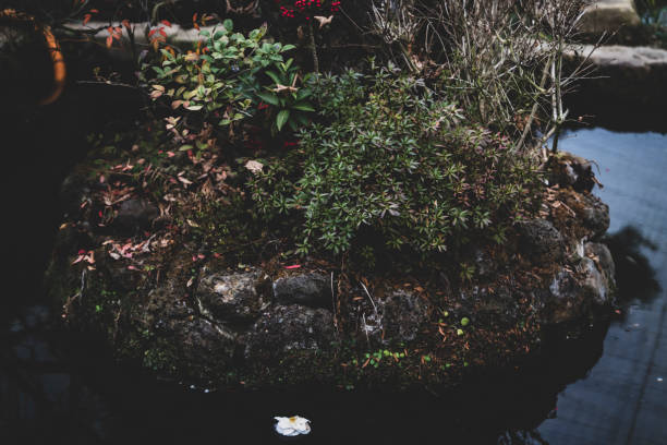 조경기능사 응시자격