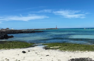 2024년 제주도 해수욕장 BEST 12