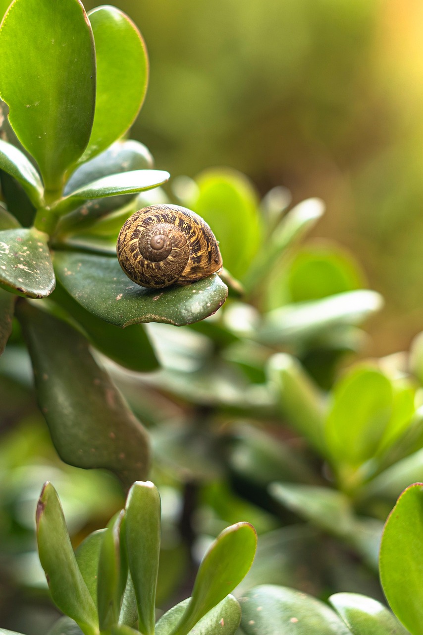 영화 리틀포레스트 자연 사진