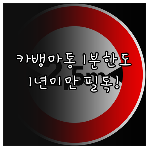 카카오뱅크 마이너스통장 1분 한도 조..