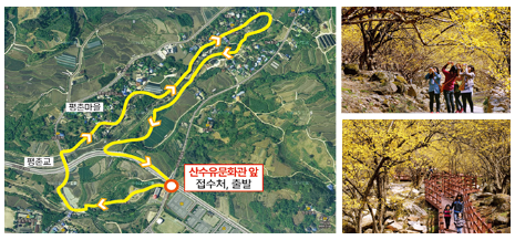 구례산수유축제