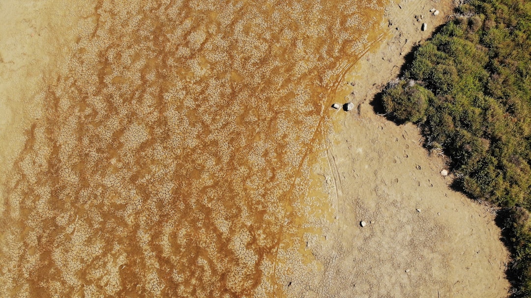 Dryness.