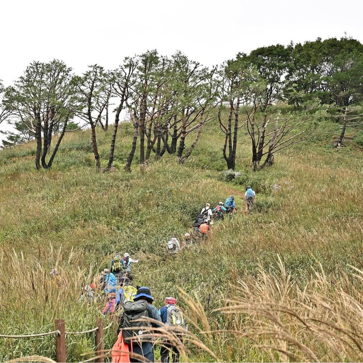 민둥산 등산코스