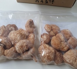 노루궁뎅이버섯