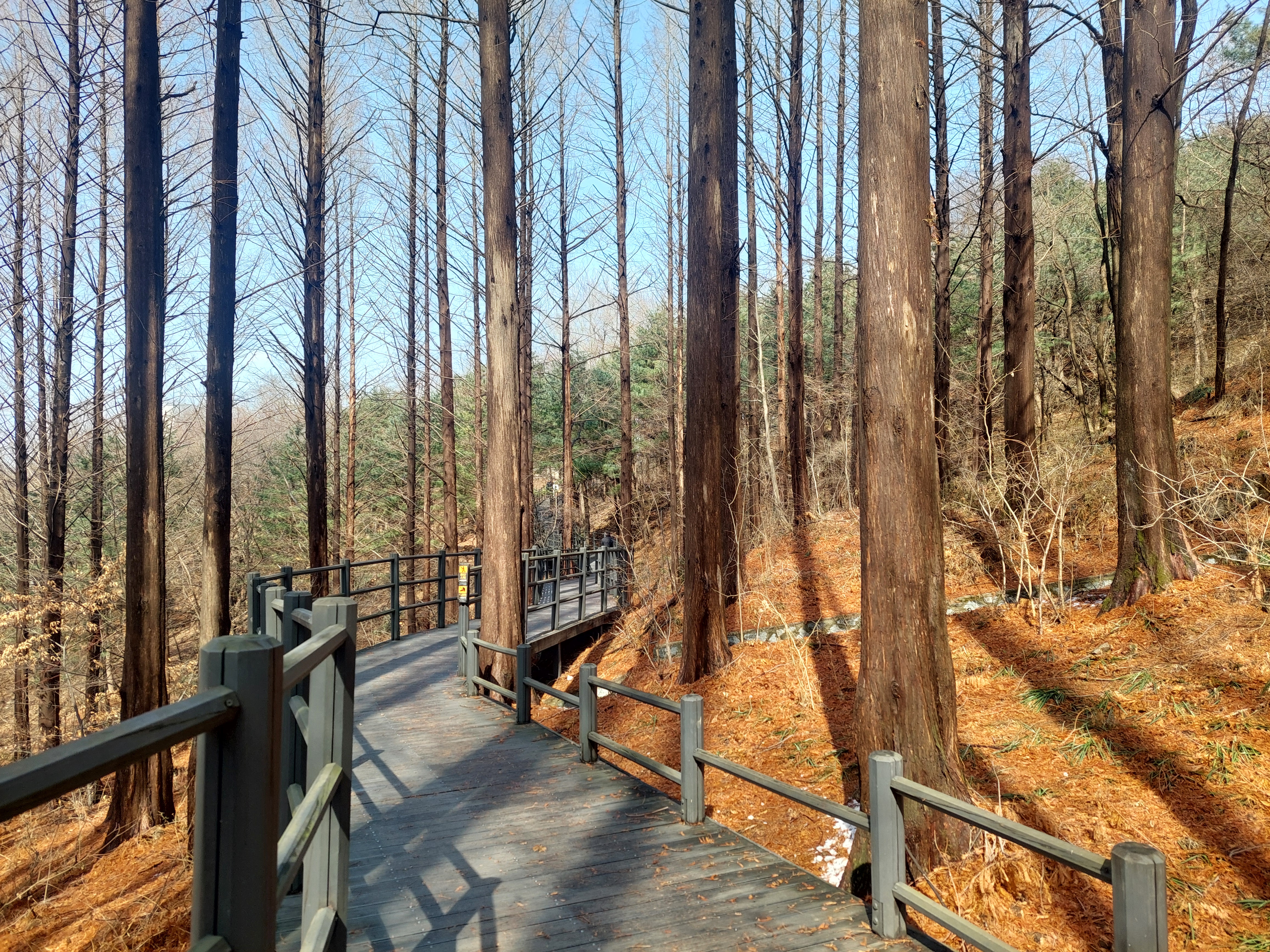 안산