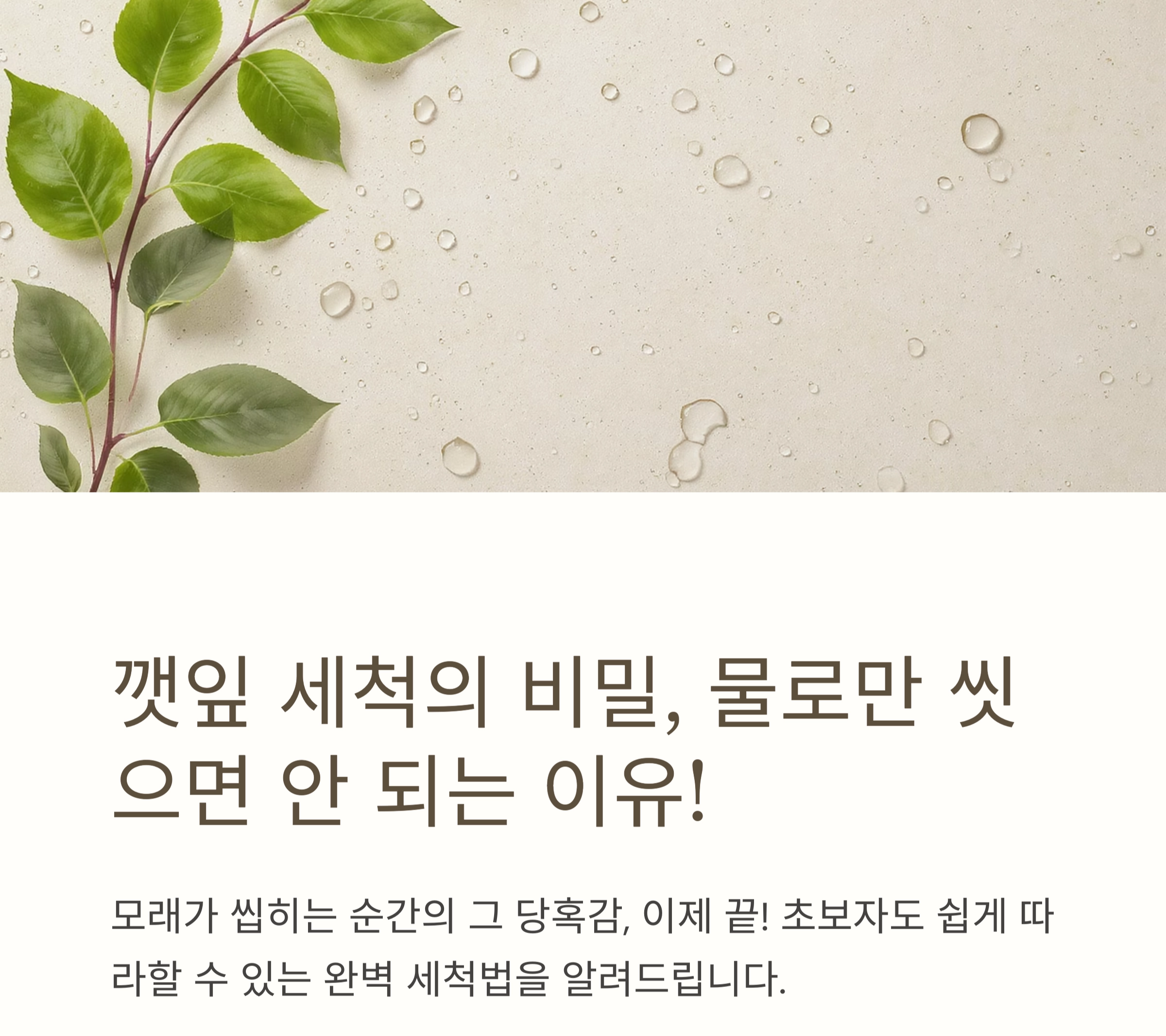 깻잎에 남은 이물질까지 말끔하게! 초보도 쉽게 하는 세척법