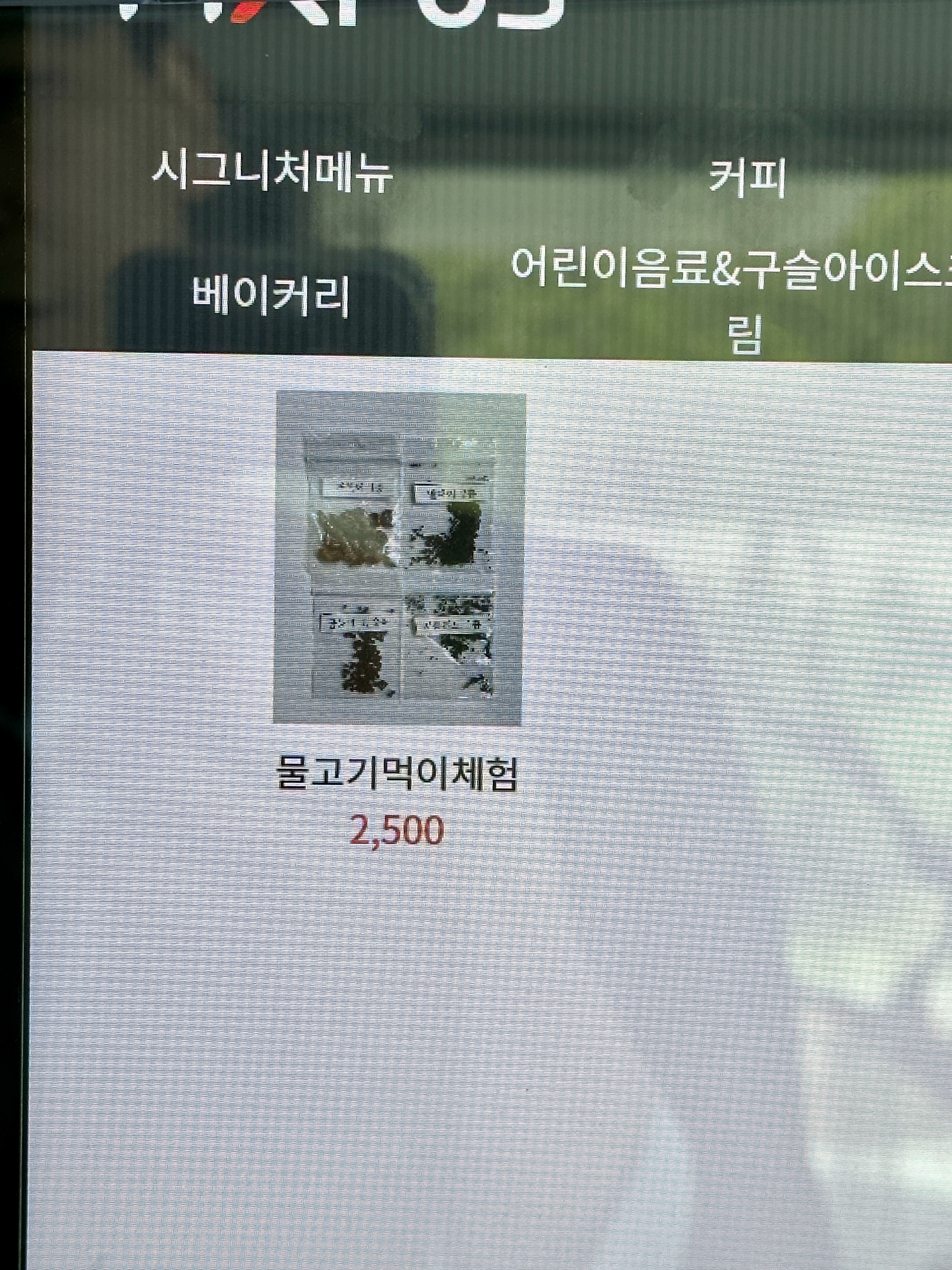 춘천 카페리움 물고기먹이체험