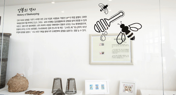칠곡 꿀벌나라 테마공원