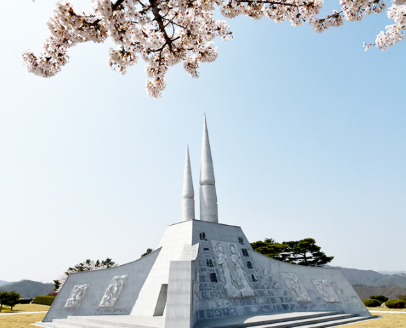 천안함 추모공원 벚꽃
