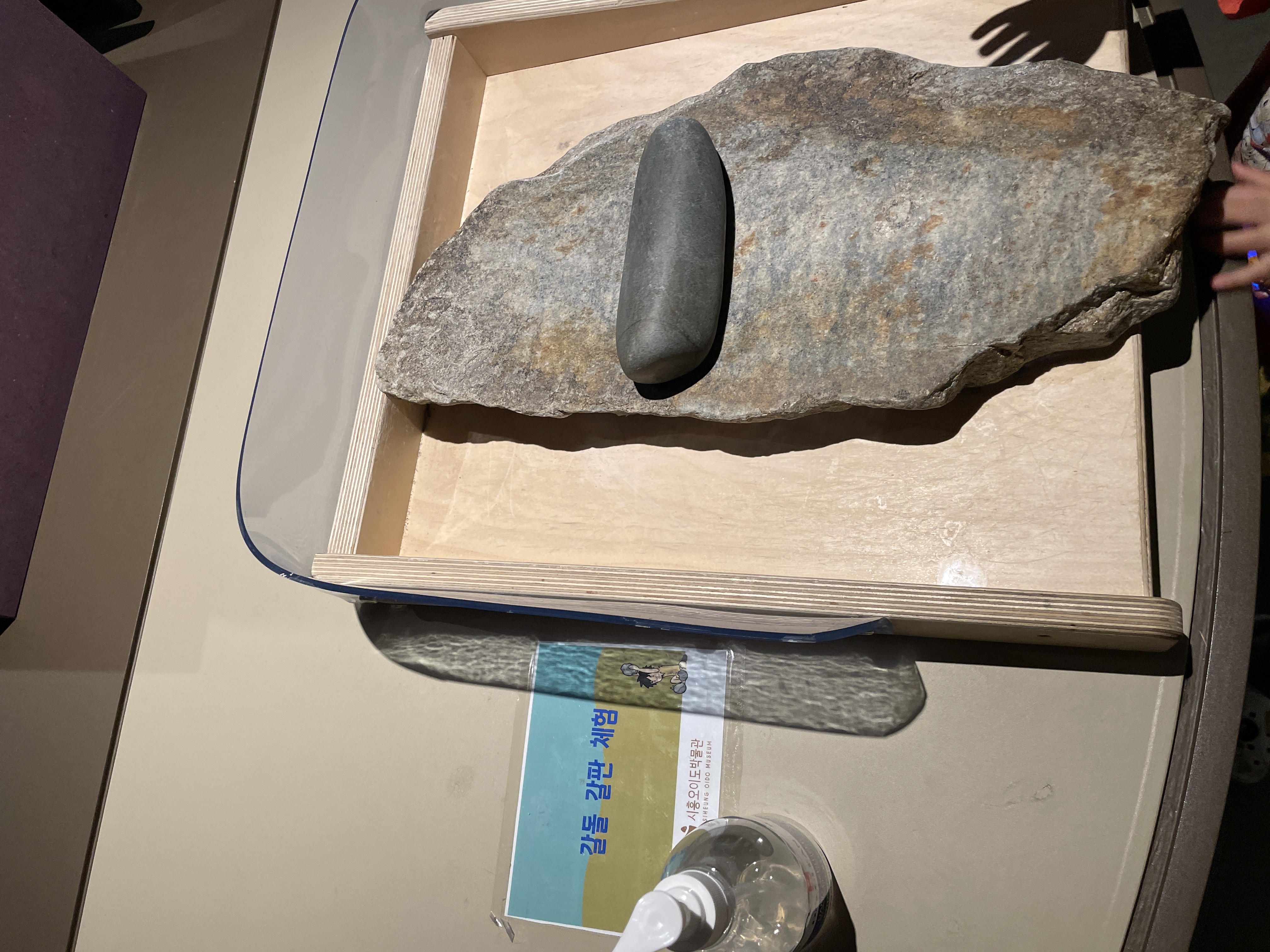 시흥 오이도 박물관 어린이 체험 예약 관련사진