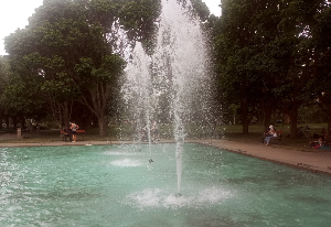 캐나다 토론토 아일랜드 여행