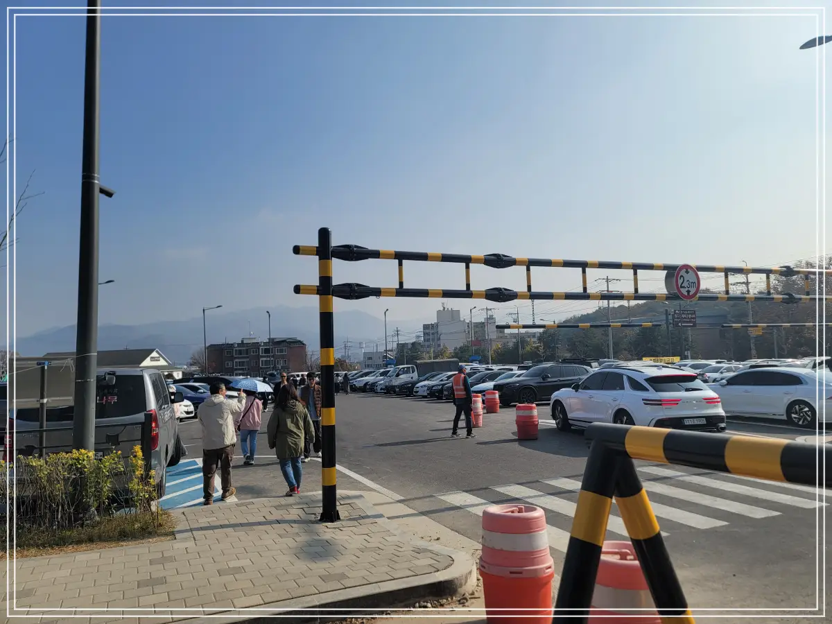 반계리-은행나무-보행로-주차장-입구