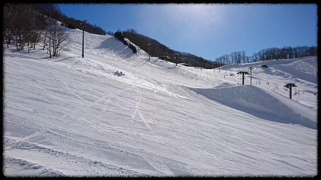  [2024 크리스마스] 가족과 평생 잊지 못할 추억 만들기!