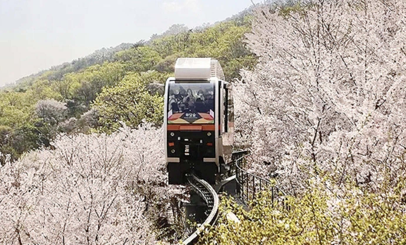 경기도 광주 명소 화담숲 봄시즌 예약 오픈 야놀자 NOL(놀) 벚꽃명소 수선화축제