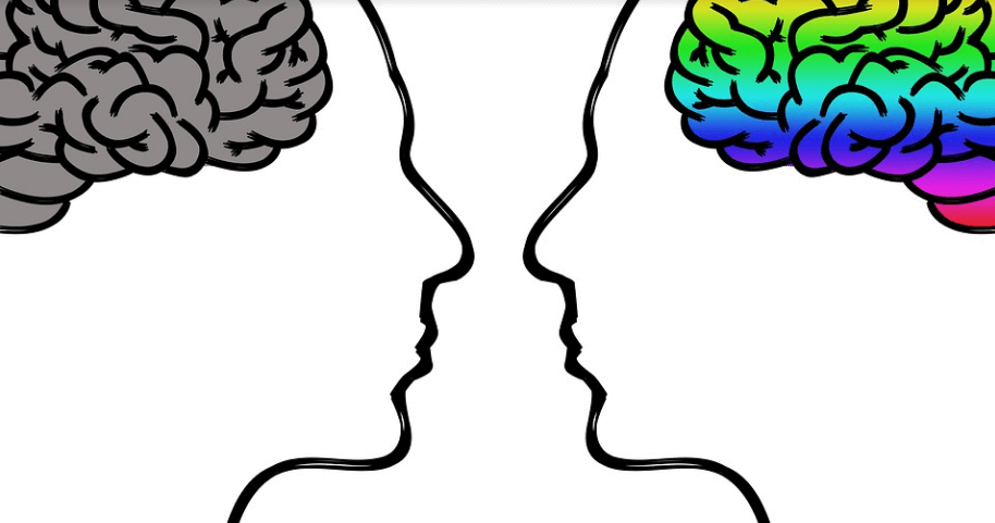 두 개의 사람의 두뇌를 그린 그림