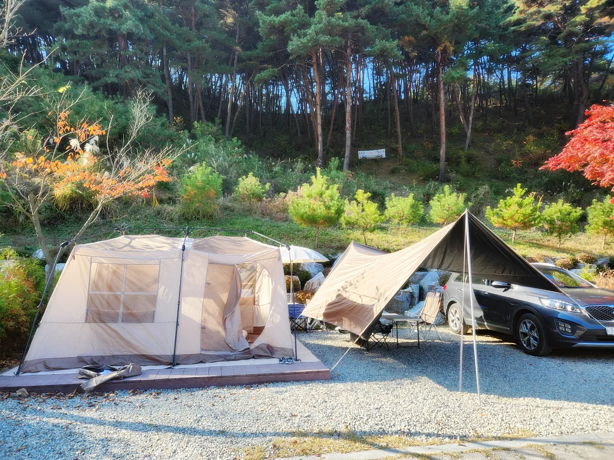 서운산-캠핑장-텐트-완성