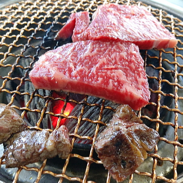 영암 소고기