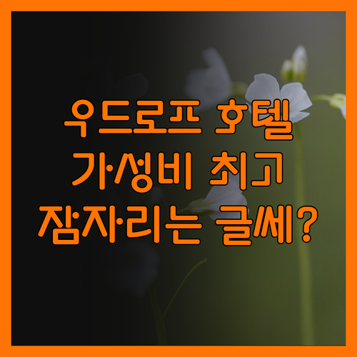 우드로프 호텔, 가성비는 최고! 그런