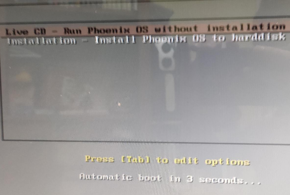 피닉스 os 부팅 usb로 부팅이 완료된 모습