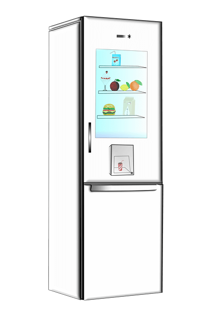 셀프이사 vs 포장이사