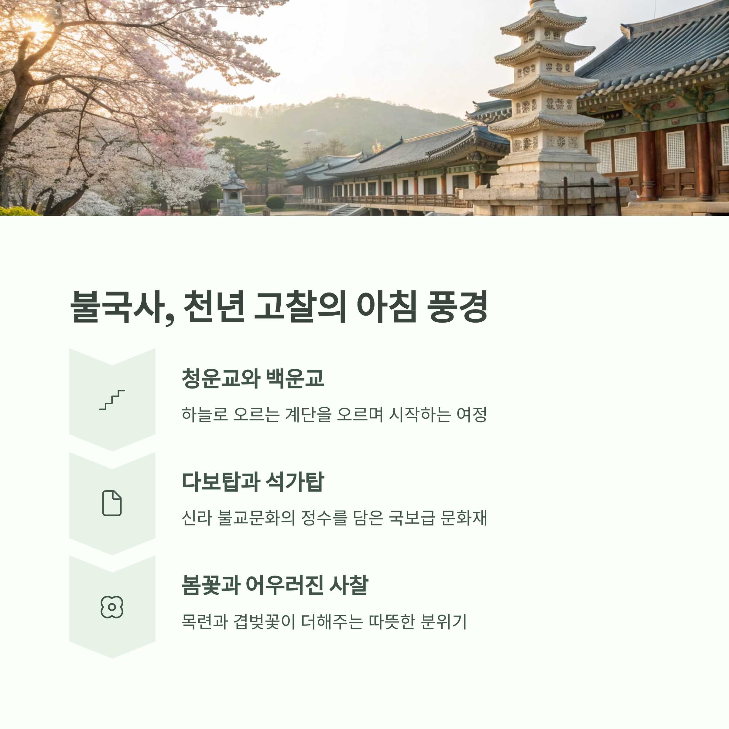 불국사 아침 풍경