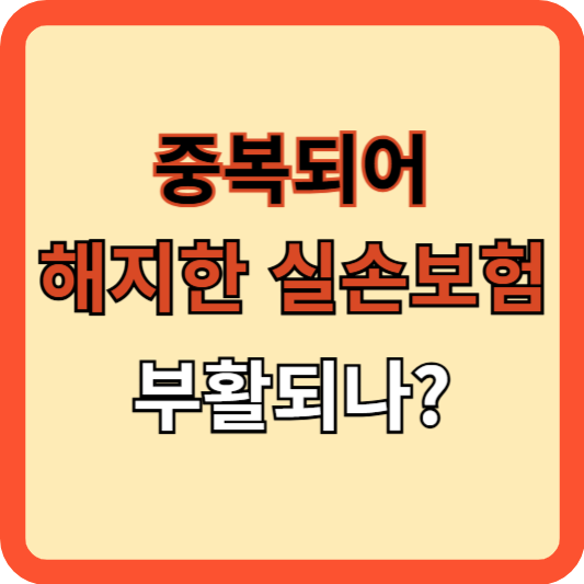 중복되어 해지한 실손보험 부활되나?