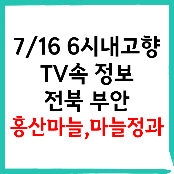 7월16일 6시내고향 부안 홍산마늘 마늘정과 파는곳! 변산농장 연락처 스마트스토어 총정리