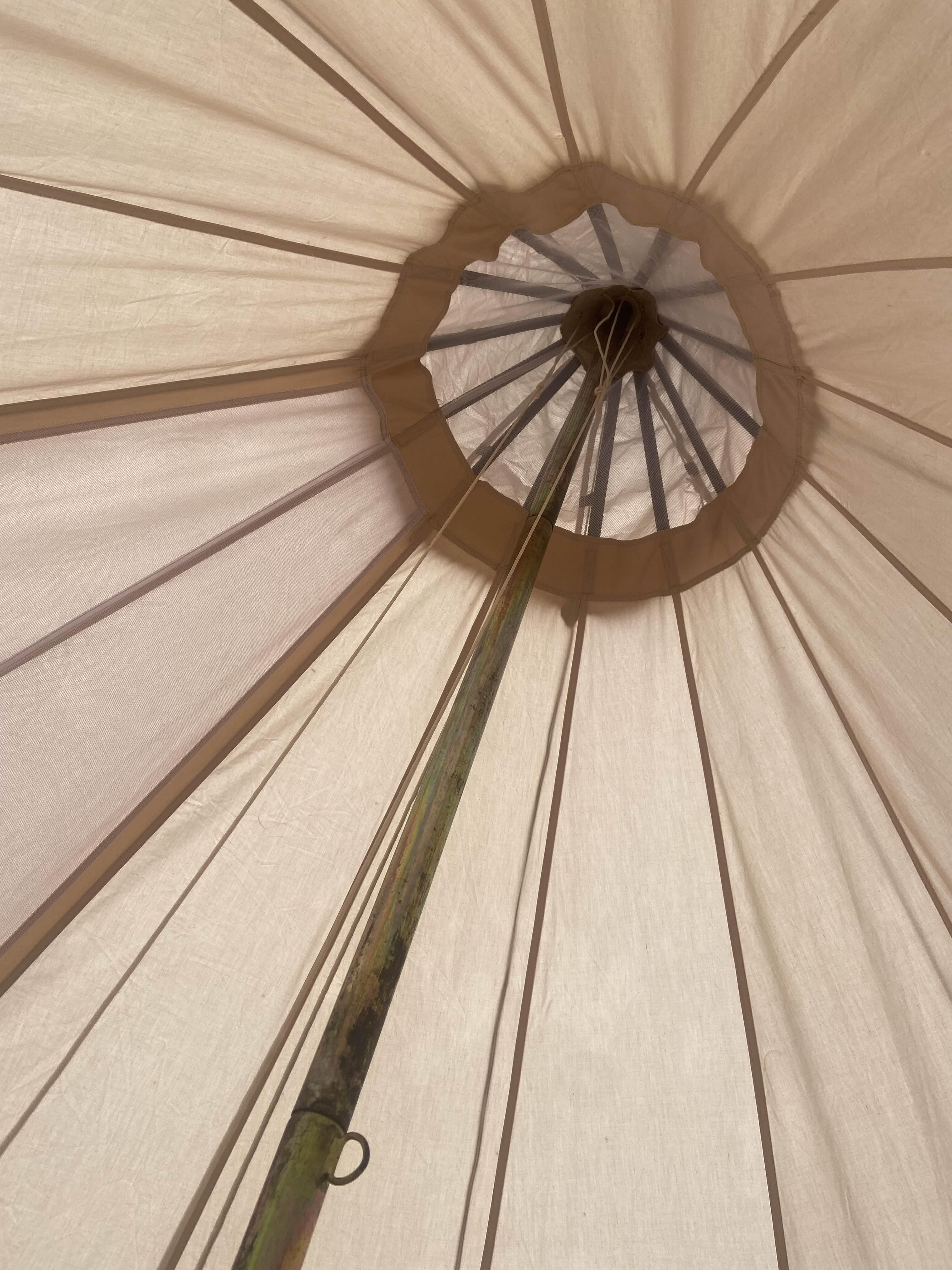 알페임 19.6 높이