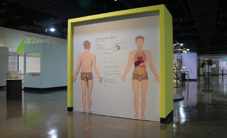 부산 과학체험관