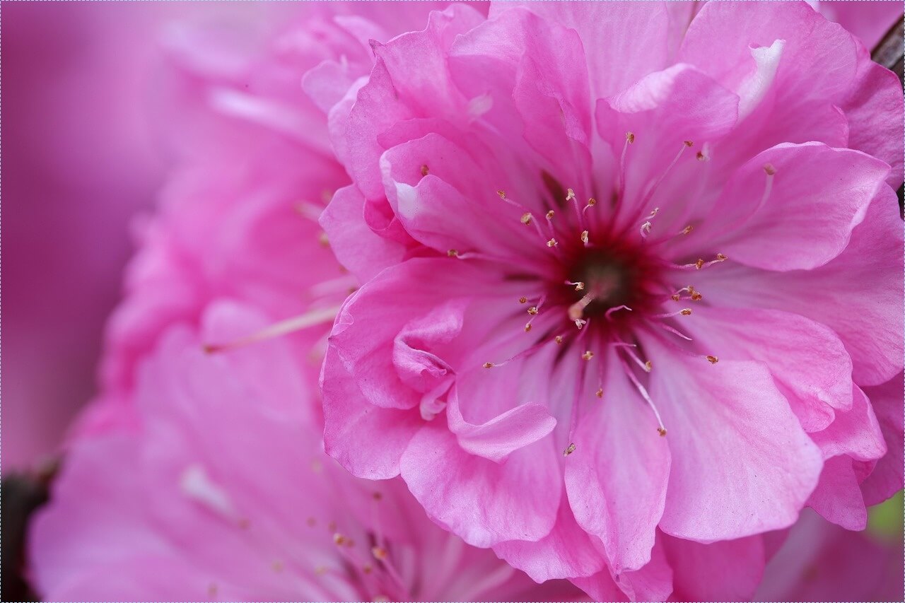 새마을금고 적금 이율