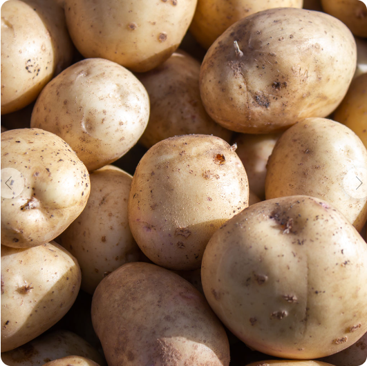 감자- 햇빛에 밝은 황토색, 흙색을 띄는 감자다