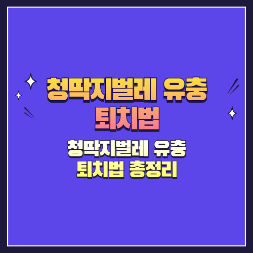 청딱지벌레 유충 완전 정복: 생태부터 피해, 퇴치법까지