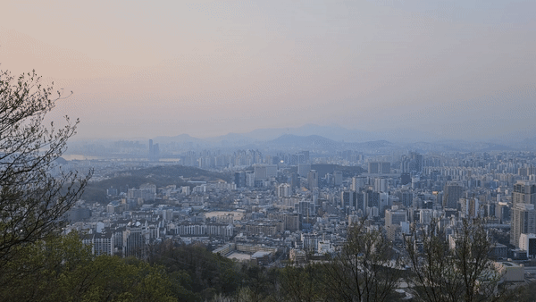 우면산 정상 풍경