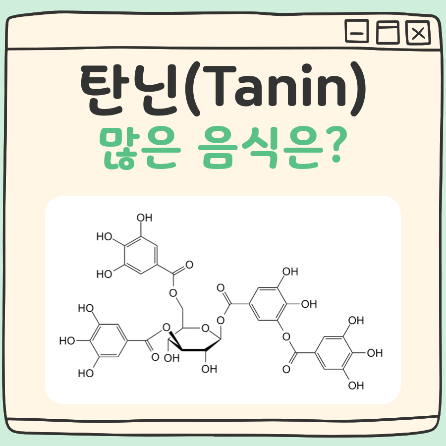 탄닌이 많은 음식 대표 이미지