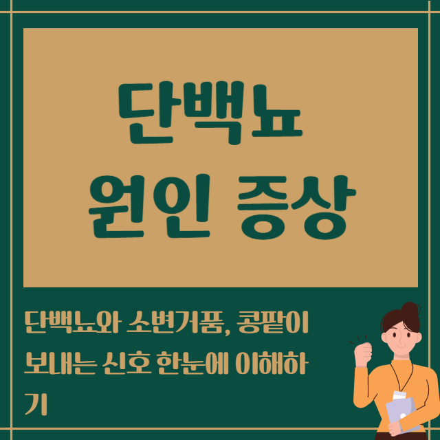 단백뇨 원인 증상