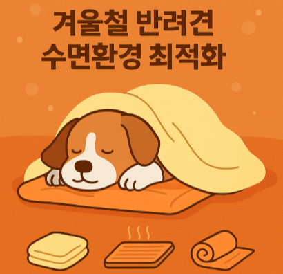 강아지 겨울밤 꿀잠 비결! 따뜻한 수면환경 만드는 법