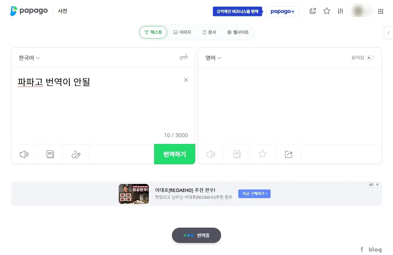 파파고 번역 안될 때