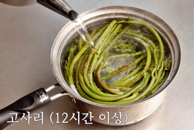 생으로 먹으면 안되는 봄나물,고사리