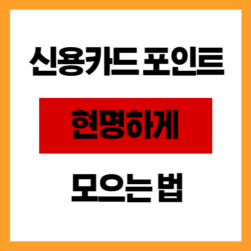신용카드 포인트 현명하게 모으는 법