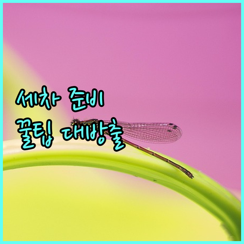 자동차 실외 세차 완벽 가이드: 준비