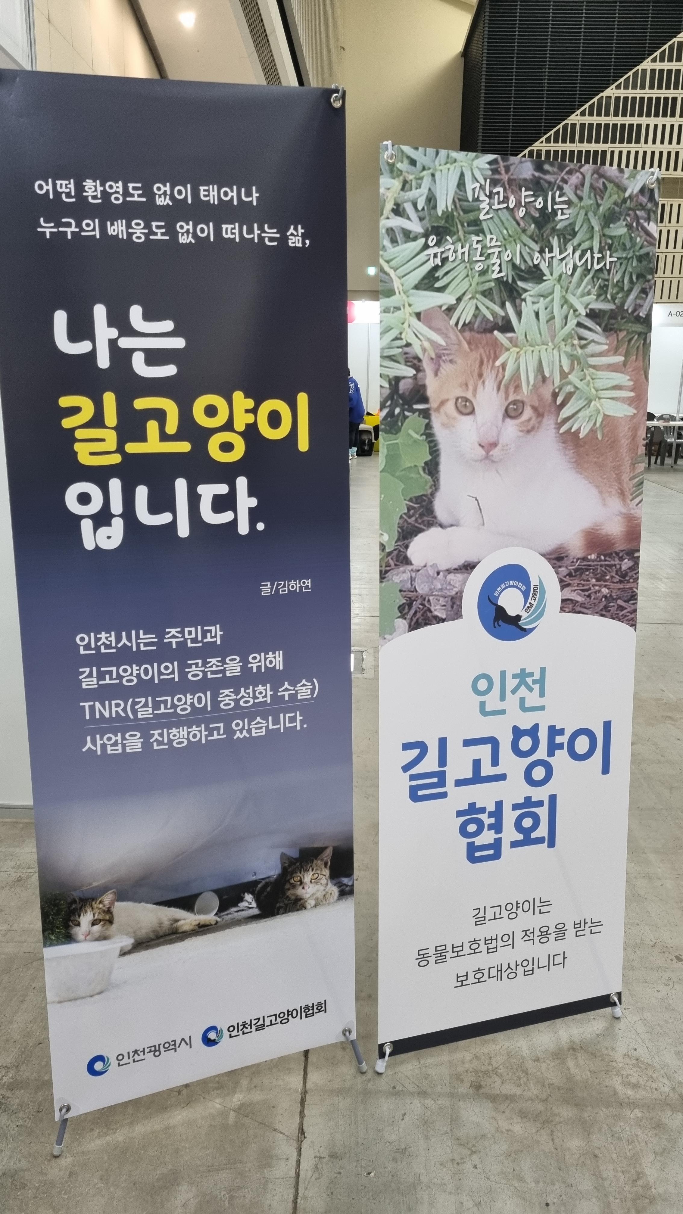 길고양이 중성화 관련 배너