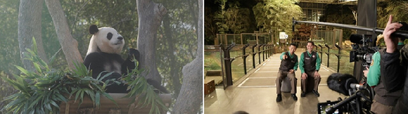 안녕 할부지 [사진=에이컴즈 ]