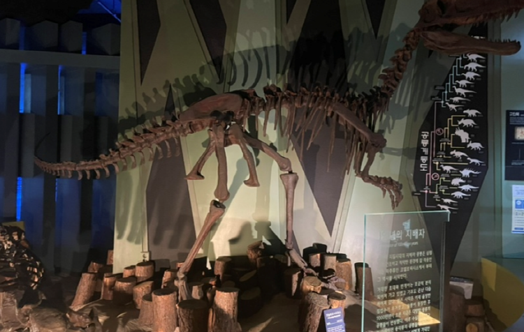 우석헌 자연사박물관