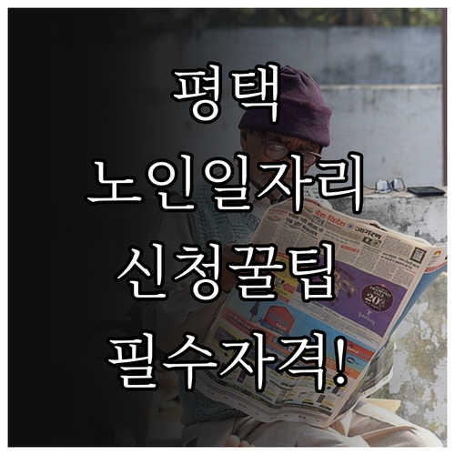 평택시 노인 일자리 신청 방법과 시니..