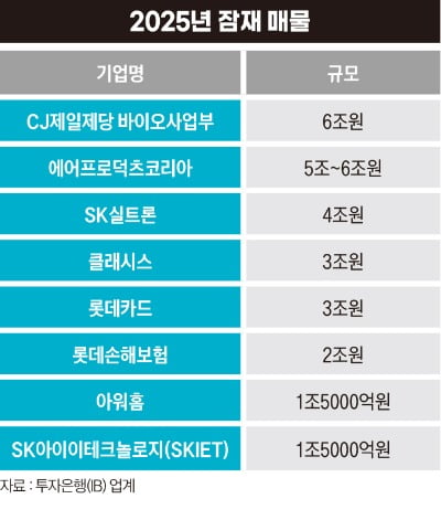 2025년 잠재매물